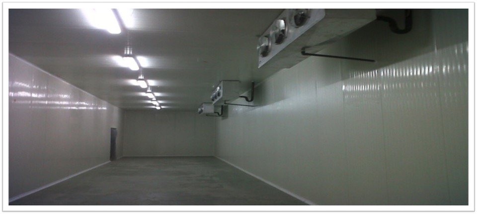 FABRICACION DE CAMARAS DE REFRIGERACION -  CONGELACION - PUERTAS-PANEL